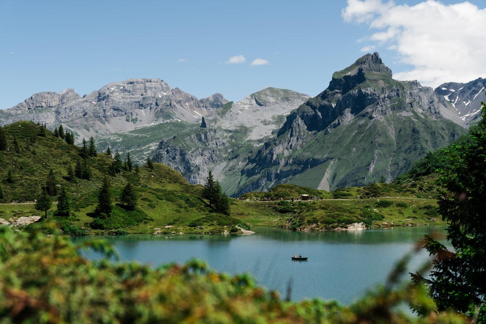 árboles verdes cerca del lago y la montaña bajo el cielo azul durante el día