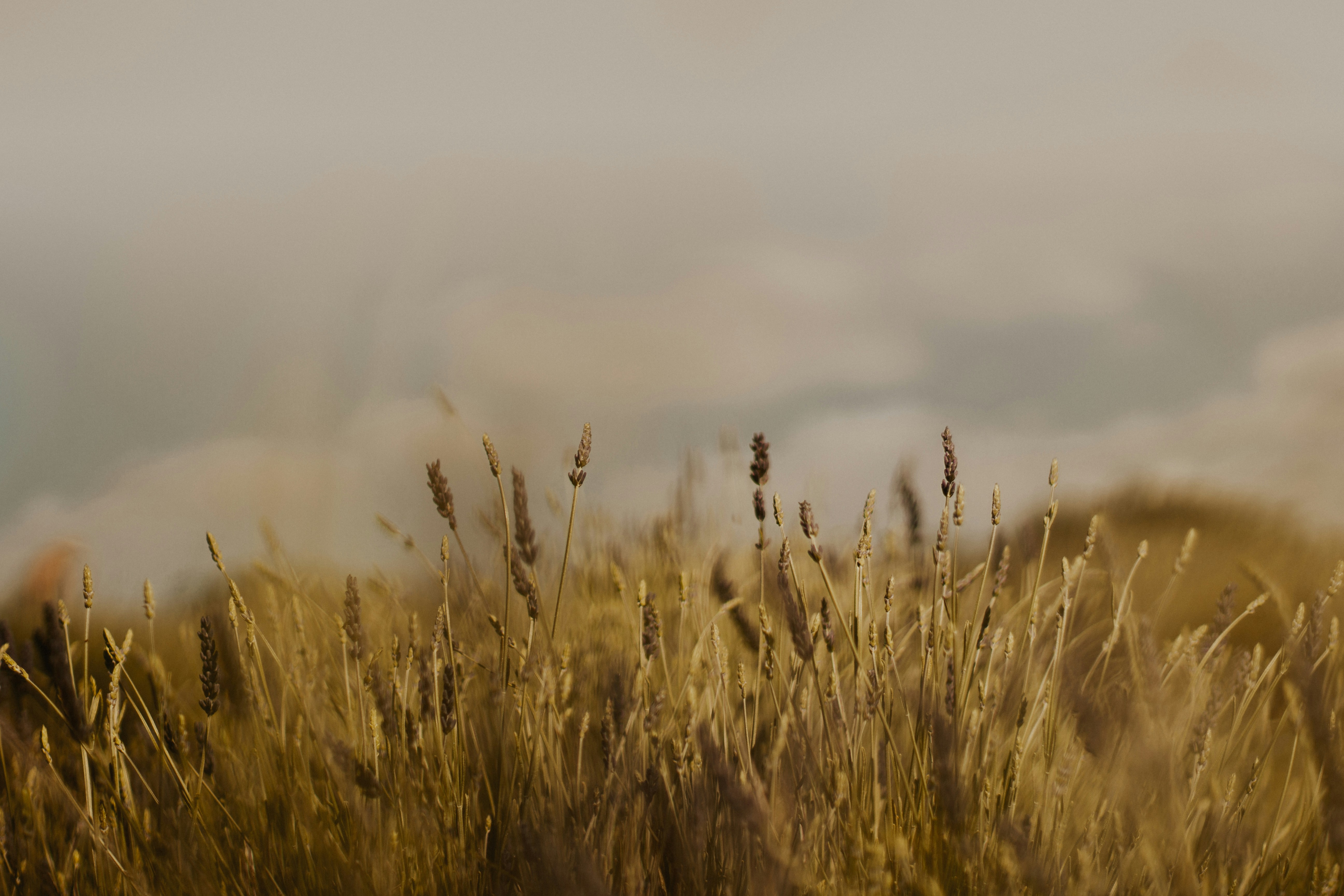 Photo by alekonpictures