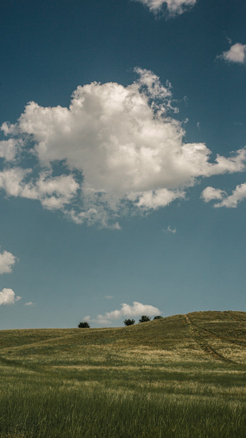 green grass field under blue sky and white clouds during daytime