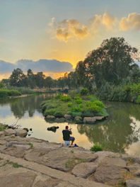 Fisherman casting a line on a calm river at sunrise, surrounded by lush greenery.