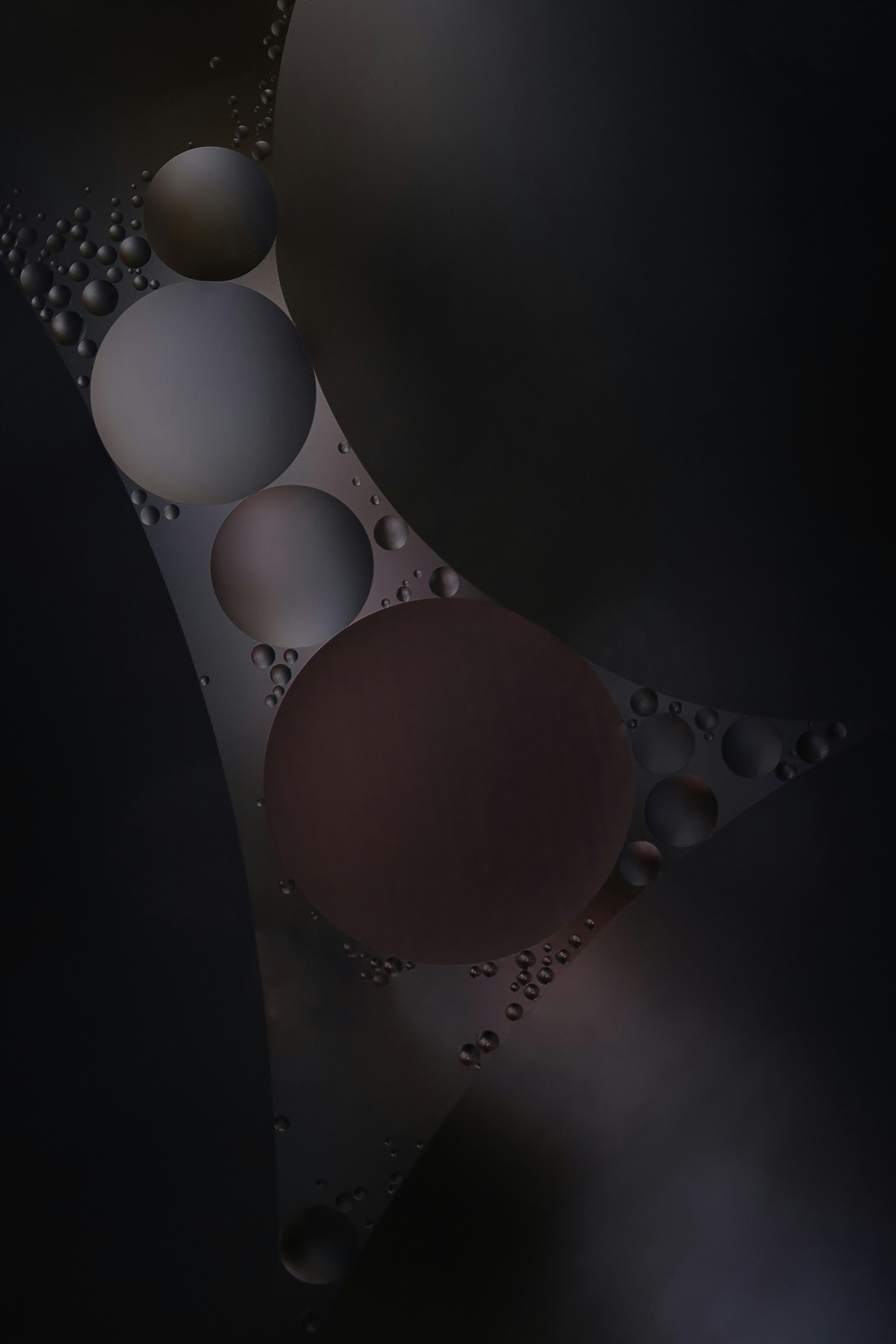 Photo by bastian_alexandercoleman