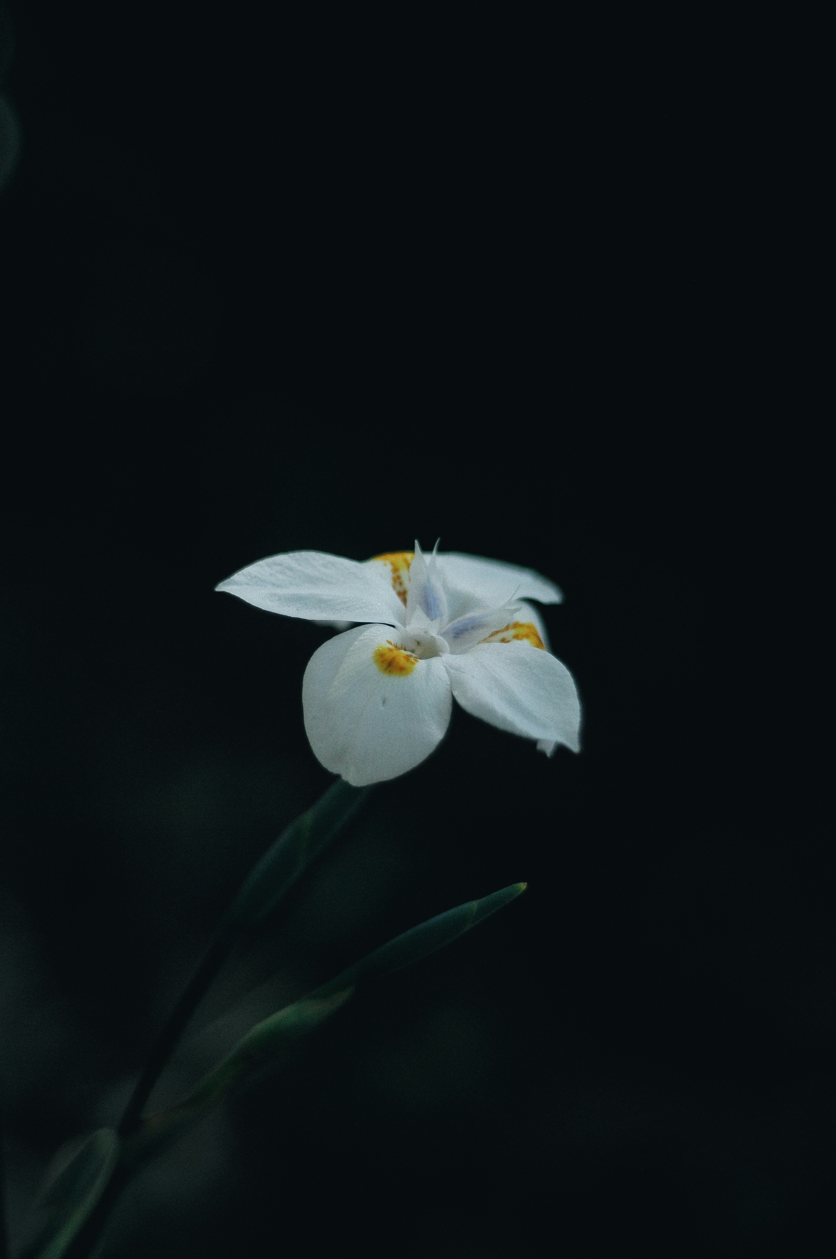 Photo by alexthehills