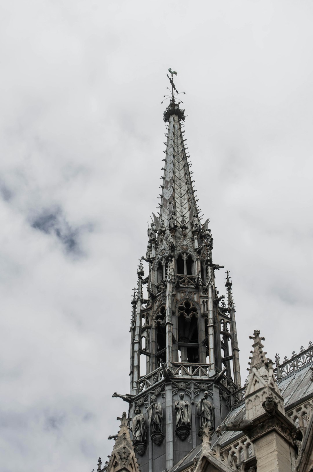 Landmark photo spot 5e Arrondissement de Paris Cathédrale Notre-Dame de Paris