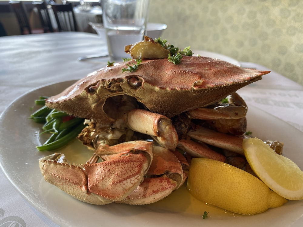 brown and white crab on white ceramic plate