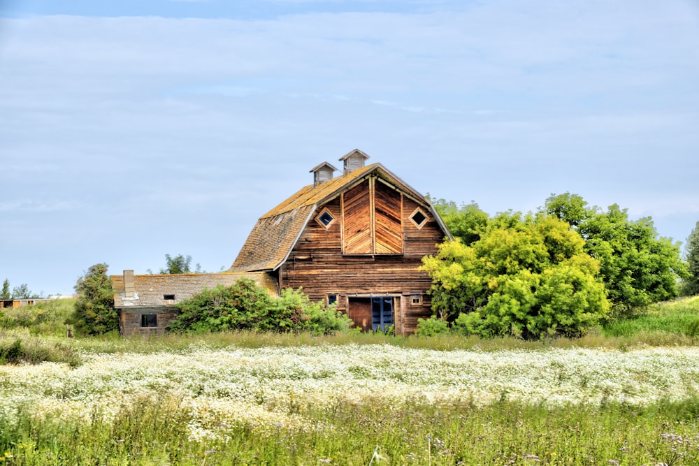 brown wooden house on green grass field during daytime