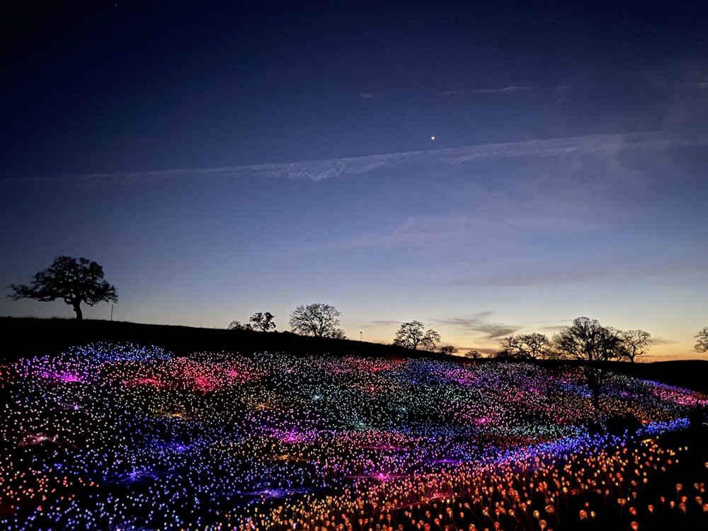 purple and white lights on a purple and brown sky