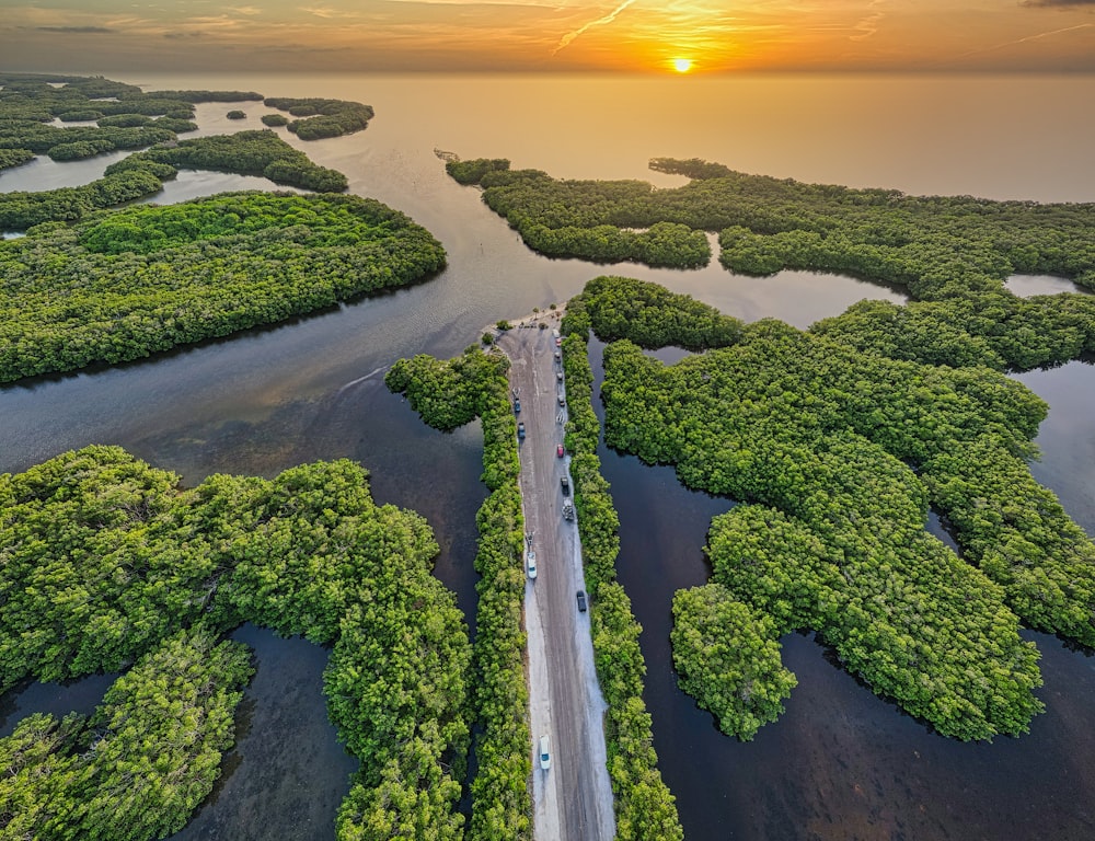 green trees on island during sunset