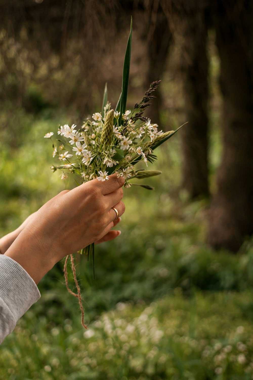 person holding white flower during daytime