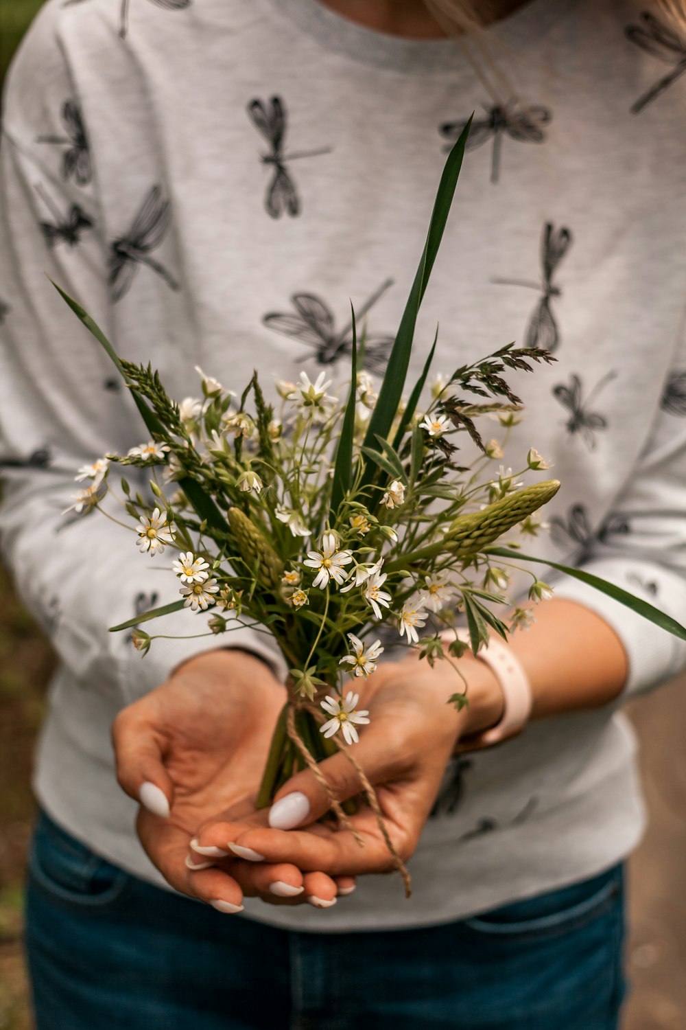 person holding green plant with white flowers