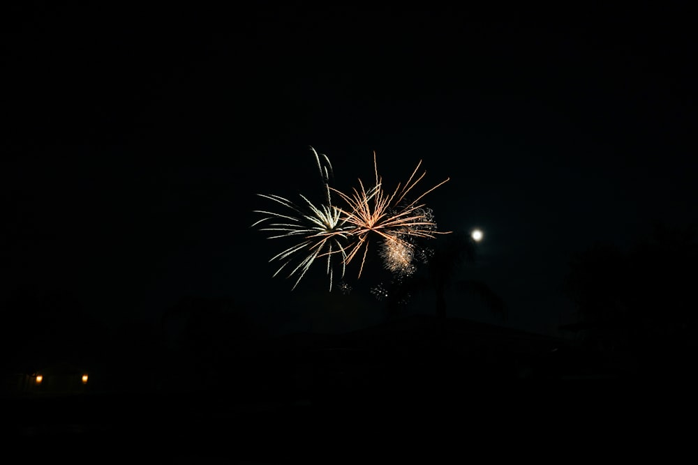 Fuegos artificiales blancos y amarillos durante la noche