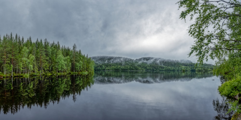 green trees near lake under cloudy sky during daytime