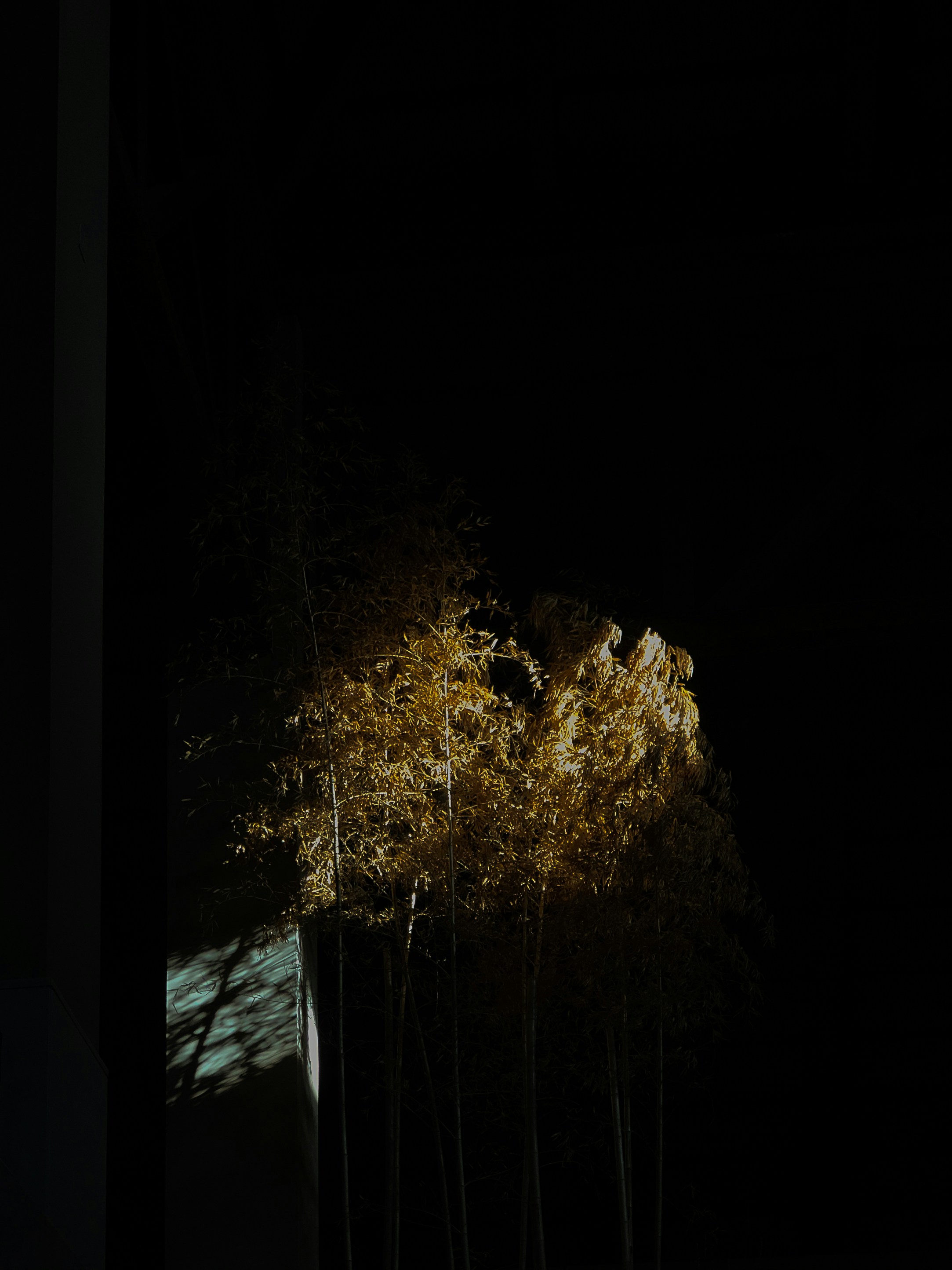 Photo by piensaenpixel