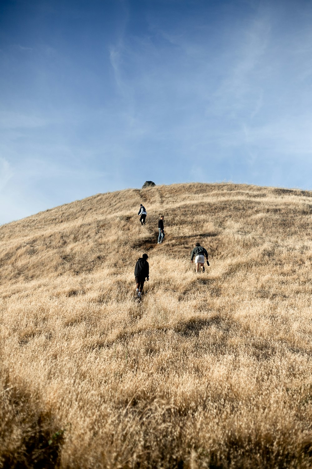 2 men walking on brown grass field during daytime