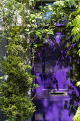A luxurious exterior home transformation featuring deep royal purple siding with silver accents.