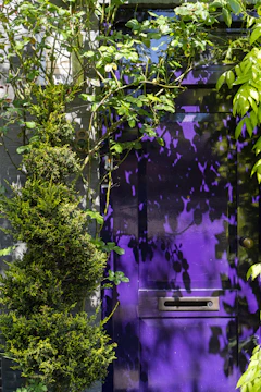 A luxurious exterior home transformation featuring deep royal purple siding with silver accents.