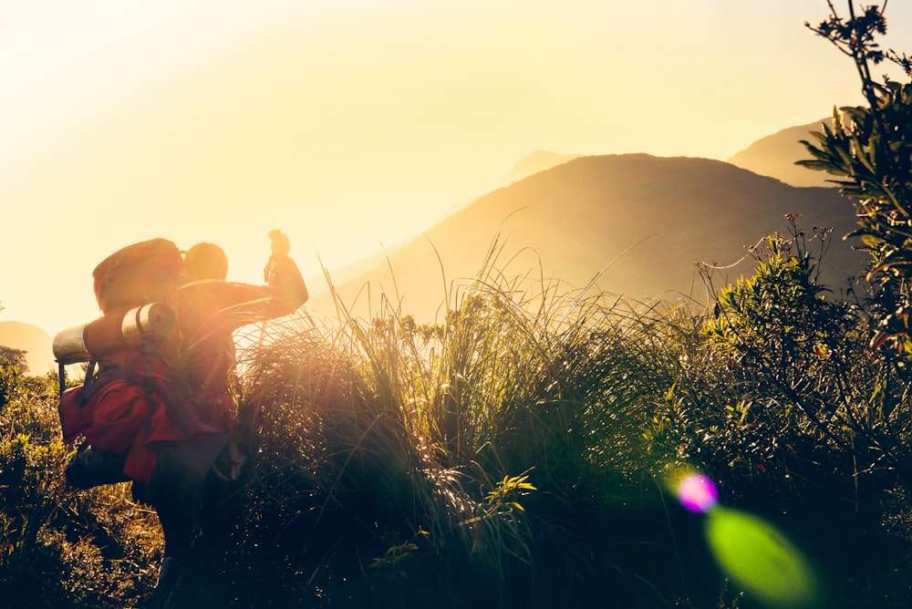 man and woman standing on green grass field during daytime