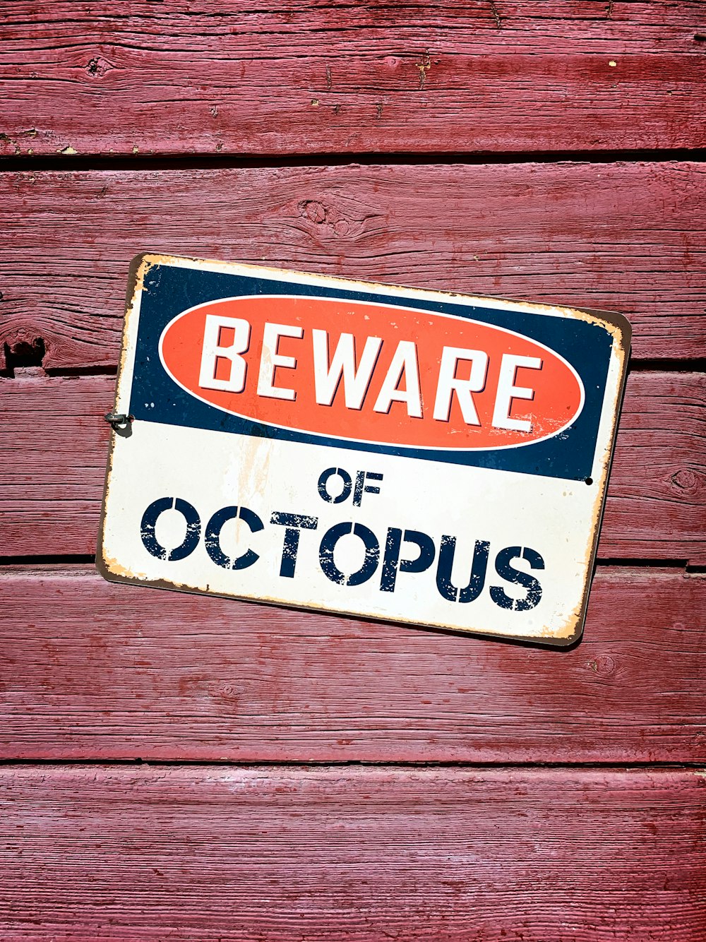 a beware of octopus sign on a wooden wall