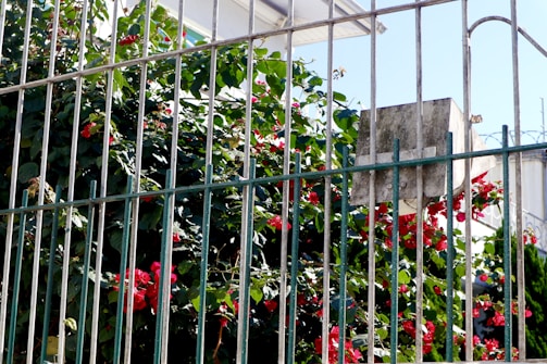 Close-up of a sturdy wooden garden fence protecting a vibrant flower bed from curious animals.