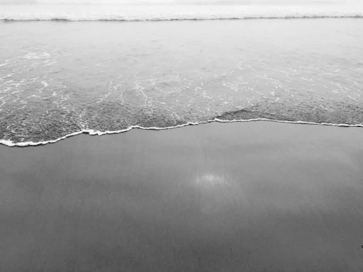 A serene black and white photograph capturing the gentle waves meeting the sandy shore in exquisite detail.