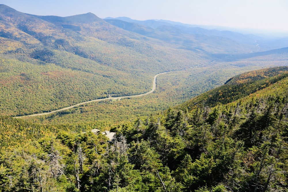 green trees on mountain during daytime