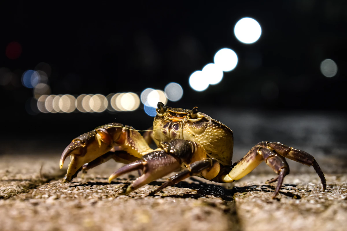 Photograph by Slavcho Malezan