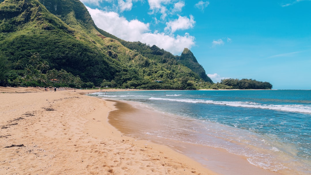 Aloha! When to Catch a Wave and Say Mahalo in Hawaii for Sun, Surf, and Savings