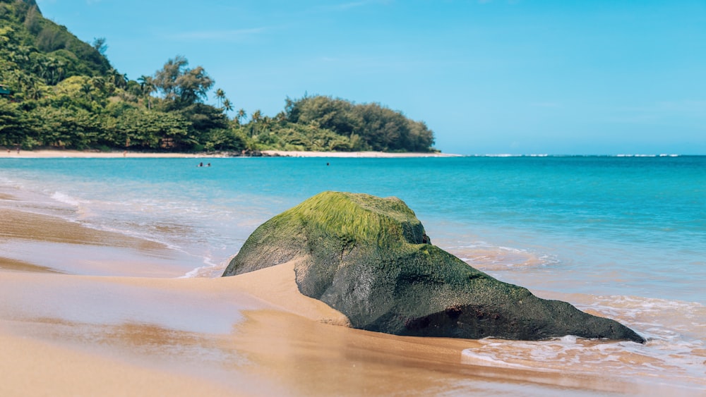 green and brown rock formation on seashore during daytime