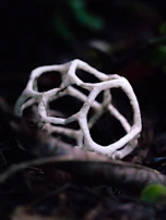 An artistic 3D printed vase with intricate lattice patterns in white filament.
