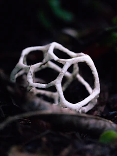 An artistic 3D printed vase with intricate lattice patterns in white filament.