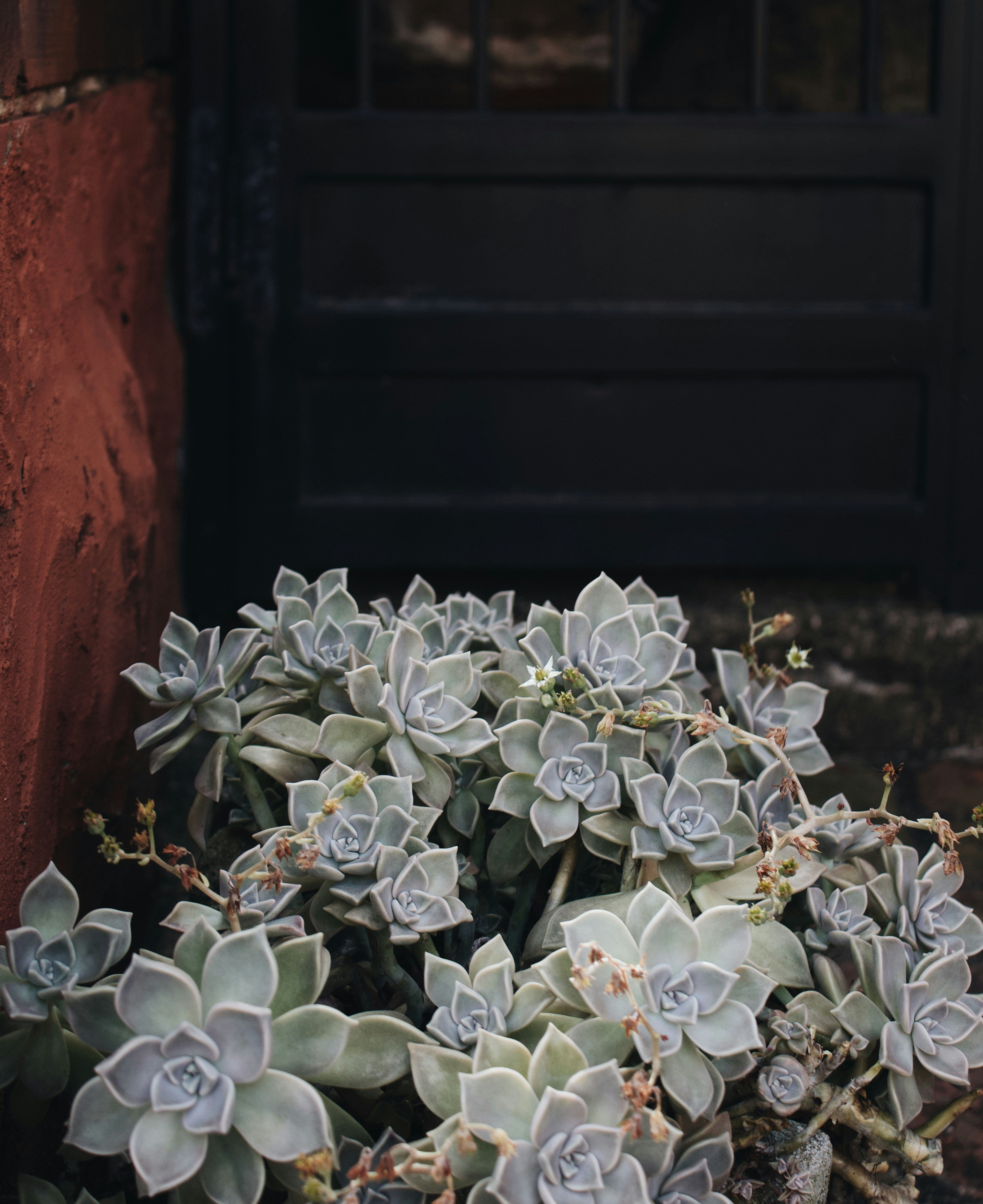 Photo by kaleigrace