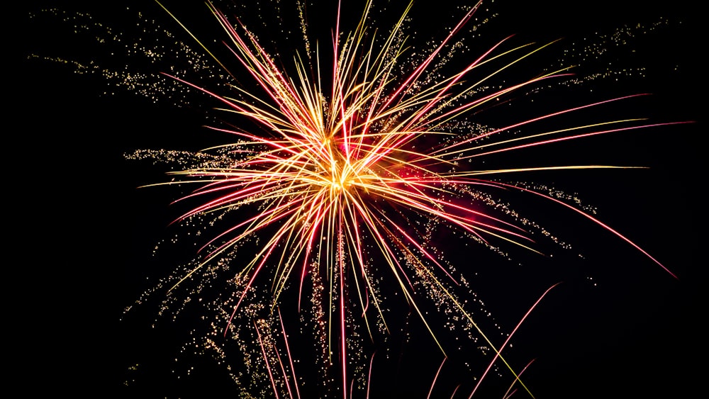 red and white fireworks display