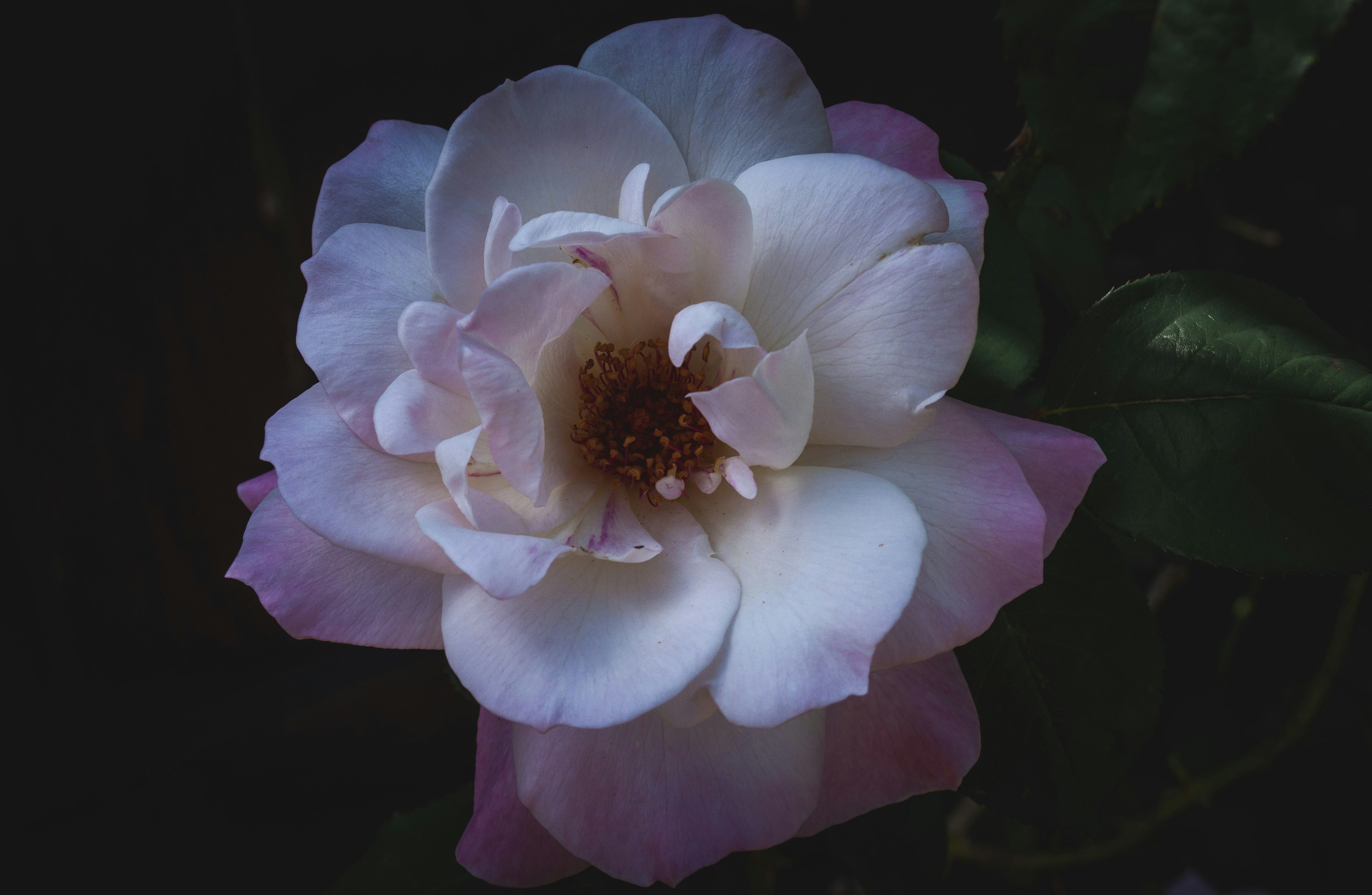 Photo by ben_vaughn_189