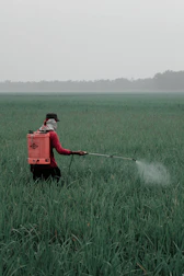 person in red shirt and black pants holding red box on green grass field during daytime
