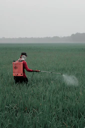 person in red shirt and black pants holding red box on green grass field during daytime