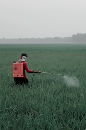 person in red shirt and black pants holding red box on green grass field during daytime