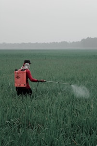 person in red shirt and black pants holding red box on green grass field during daytime