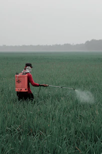 person in red shirt and black pants holding red box on green grass field during daytime