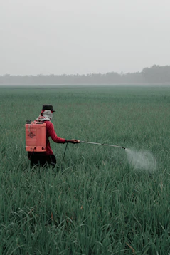 person in red shirt and black pants holding red box on green grass field during daytime