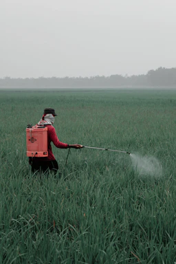 person in red shirt and black pants holding red box on green grass field during daytime