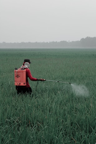 person in red shirt and black pants holding red box on green grass field during daytime