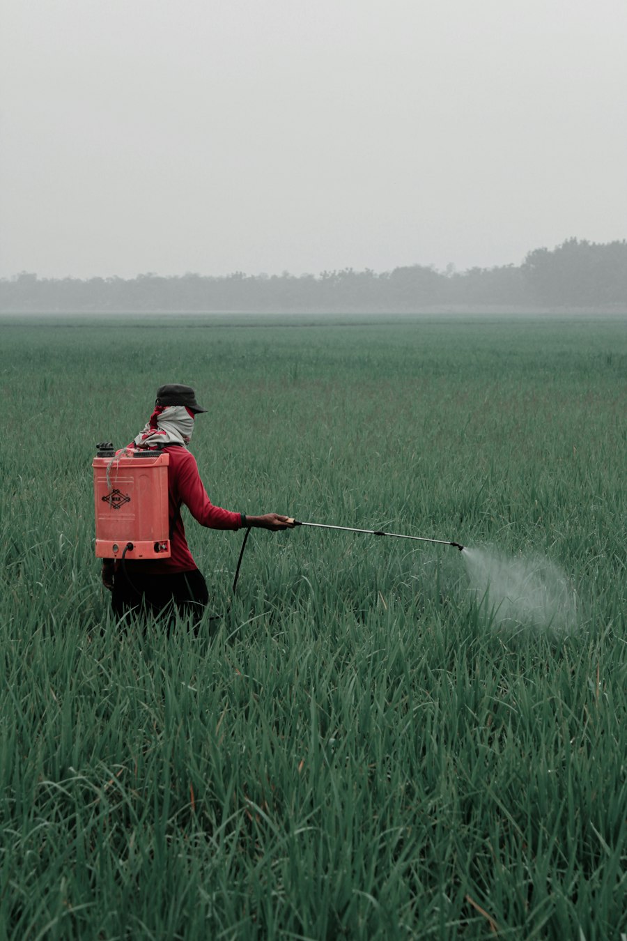 Disinfestatore con pompa a spalla durante il trattamento