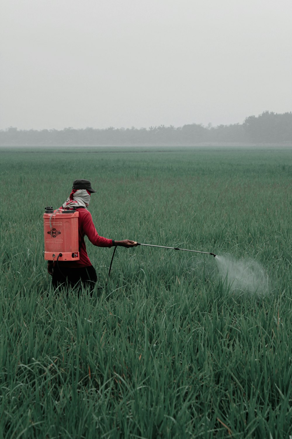 person in red shirt and black pants holding red box on green grass field during daytime