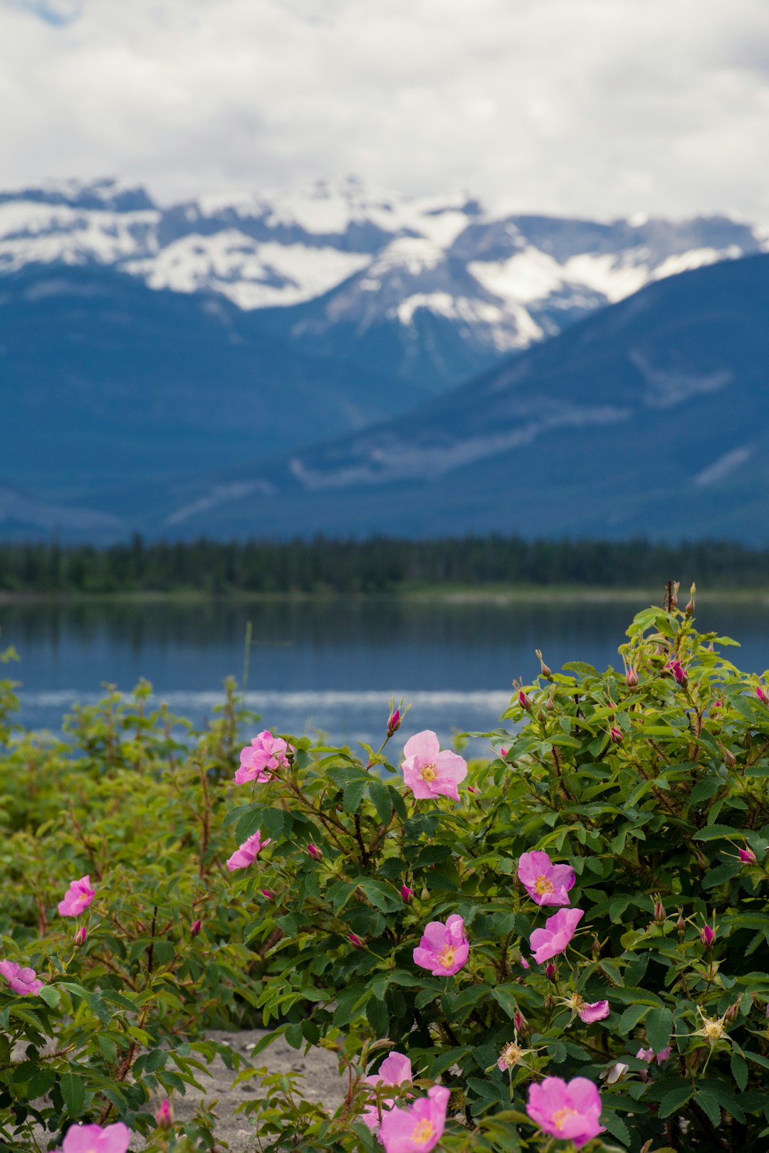 Lake photo spot Jasper Jasper National Park Of Canada