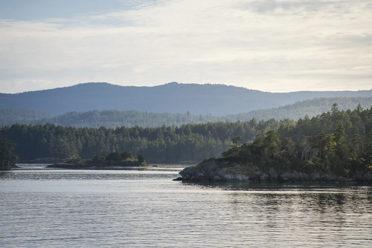 Calm coastal water in front of a forested Gulf Islands shoreline with low blue hills behind on a clear British Columbia day