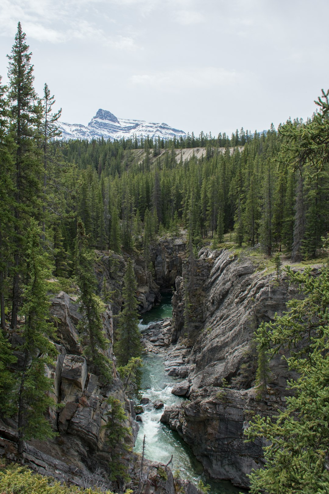 Nature reserve photo spot Siffleur River Kootenay Plains Ecological Reserve