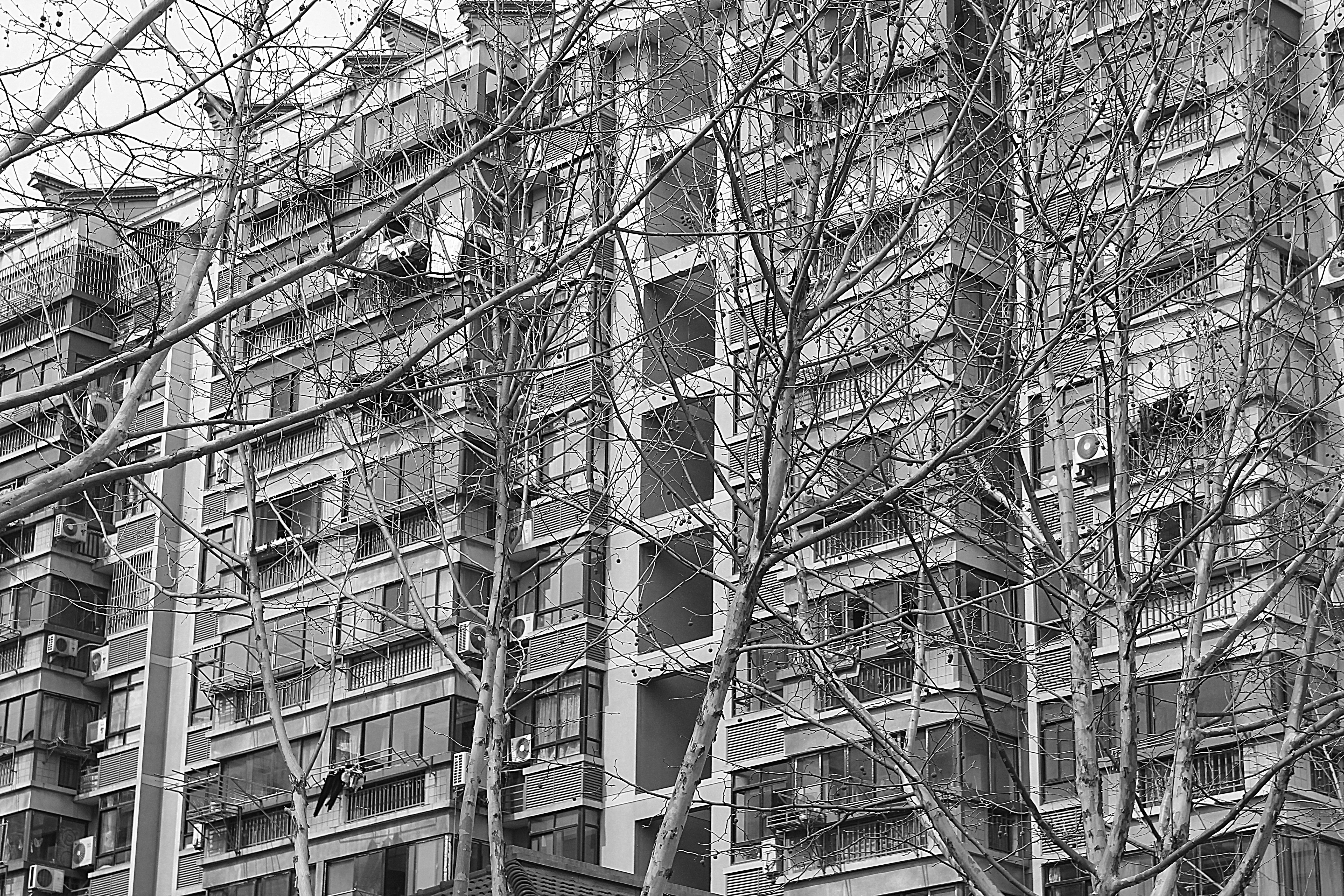 Photo by antovilardo