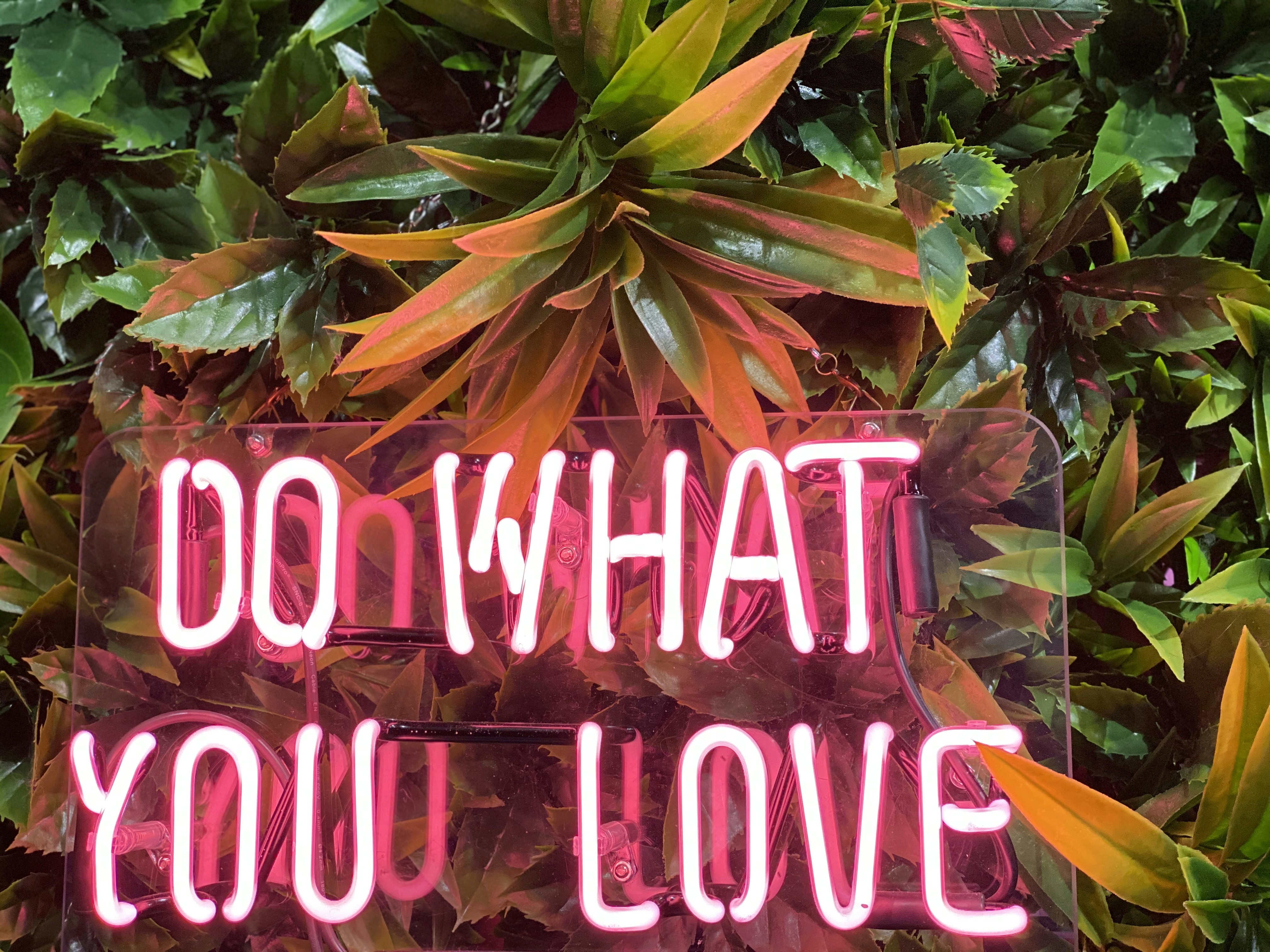 Photo by winged_olympian