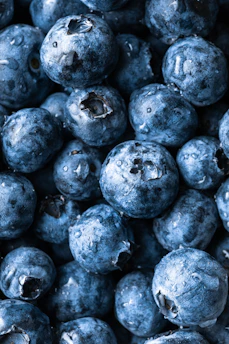 closeup of fresh blueberries