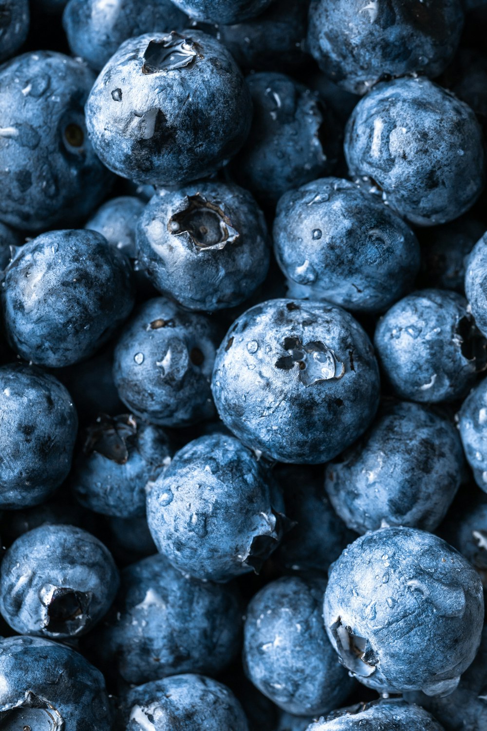 Photographie en niveaux de gris de fruits ronds