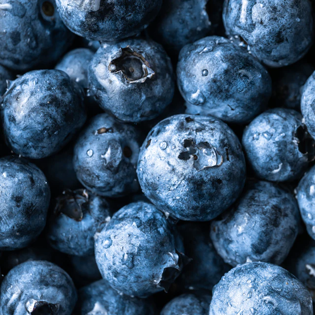 냉동 블루베리 1kg 무가당 스무디 요거트 베이킹 생과일 디저트